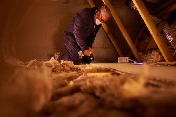 Types of Insulation We Offer in Taylor, TX